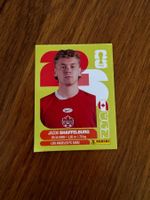CAN 14 Panini FIFA World Cup WM 2026