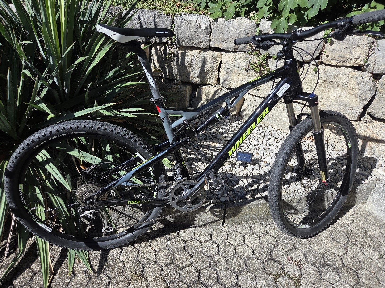 Wheeler Velos: MTB Wheeler Tiger 12 – Gebraucht aus Tenniken von Mrsush 5