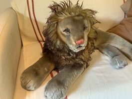 Original Steiff Löwe Sammlerstück über 60 Jahre alt