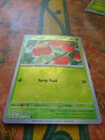 POKEMON  Applin   H  SCR EN  012/142   HP40  2024
