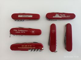 Sackmesser 6 Stück