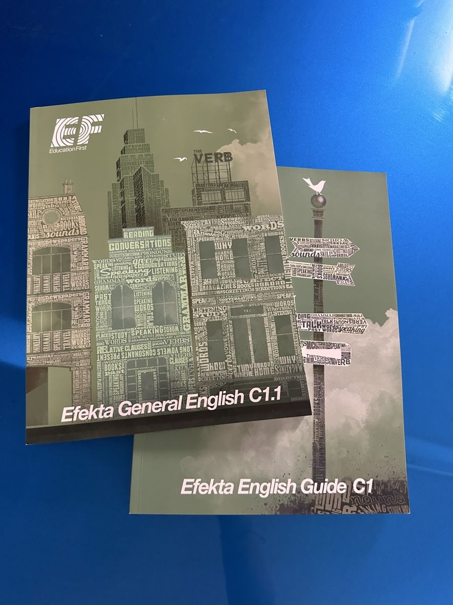 Libri: Efekta General English C1+Guide, 2 Stk. – Nuovo (secondo la descrizione) da Dübendorf venduto da Magis_Stuff