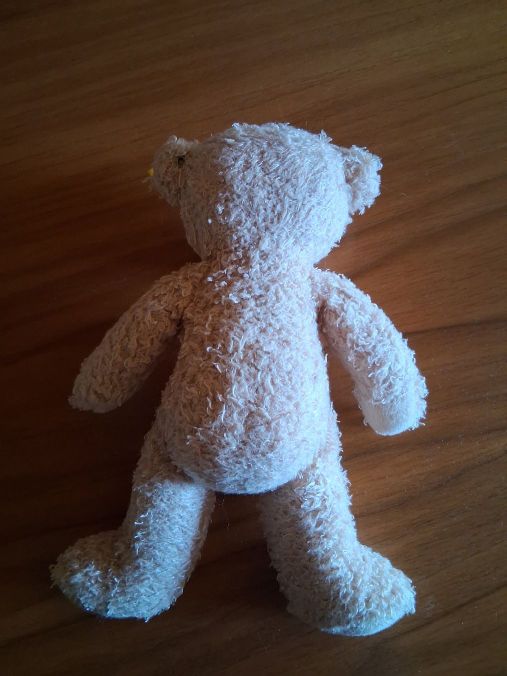 Steiff Spielzeuge: Steiff Teddybär – Gebraucht aus Lengnau von robinie02 1