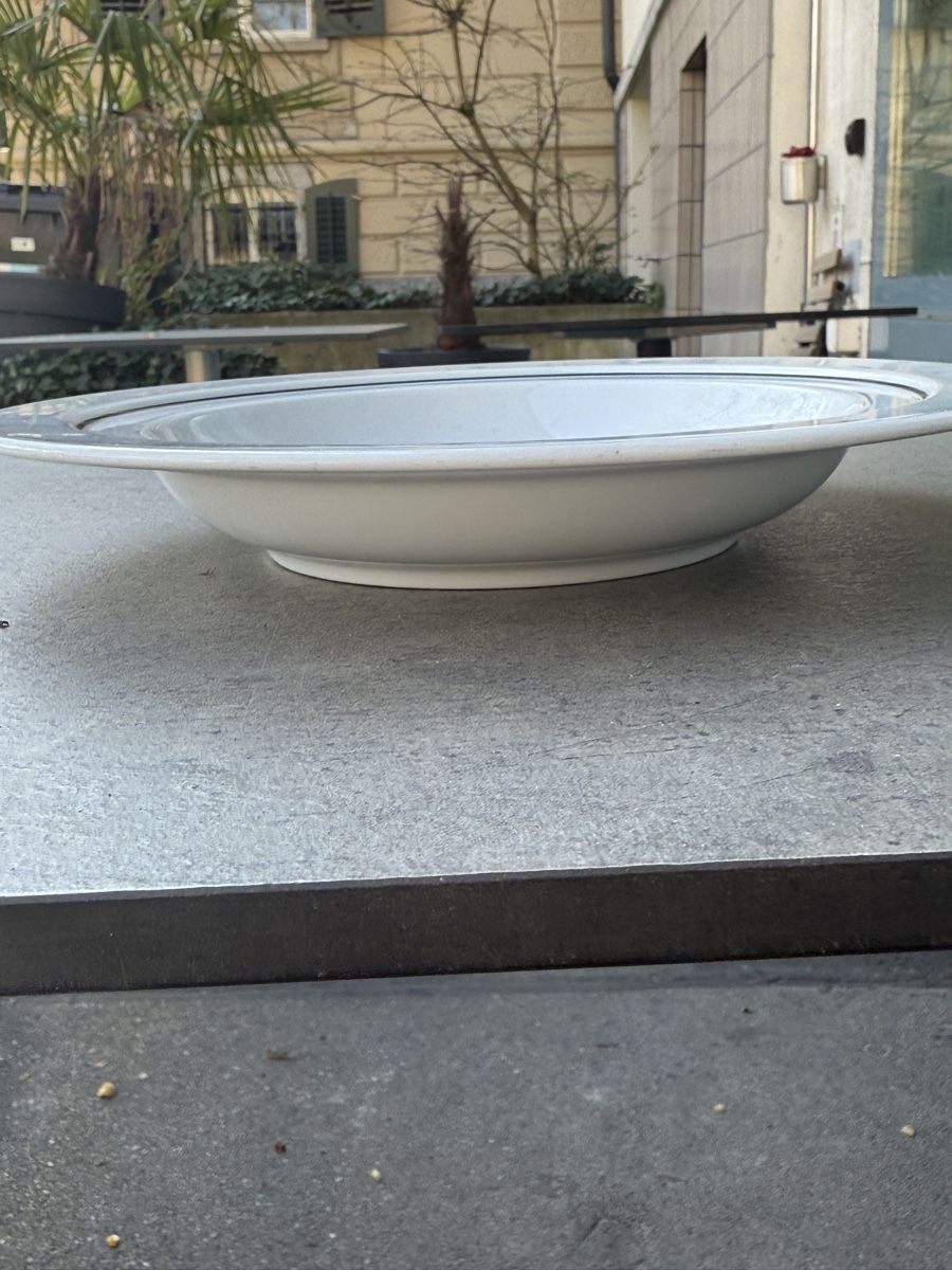 WMF Piatti: WMF Pastateller/Suppenteller 25 cm – Usato da Zürich venduto da zur_fc52 2