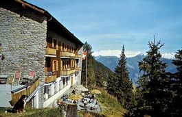 BETTMERALP Hotel Waldhaus