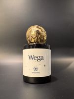 In Astra | Wega