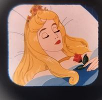 View-Master / 3 Bildscheiben / Sleeping Beauty / ab Fr. 1.-