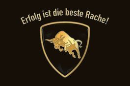 Blechschild-ERFOLG IST DIE BESTE RACHE!