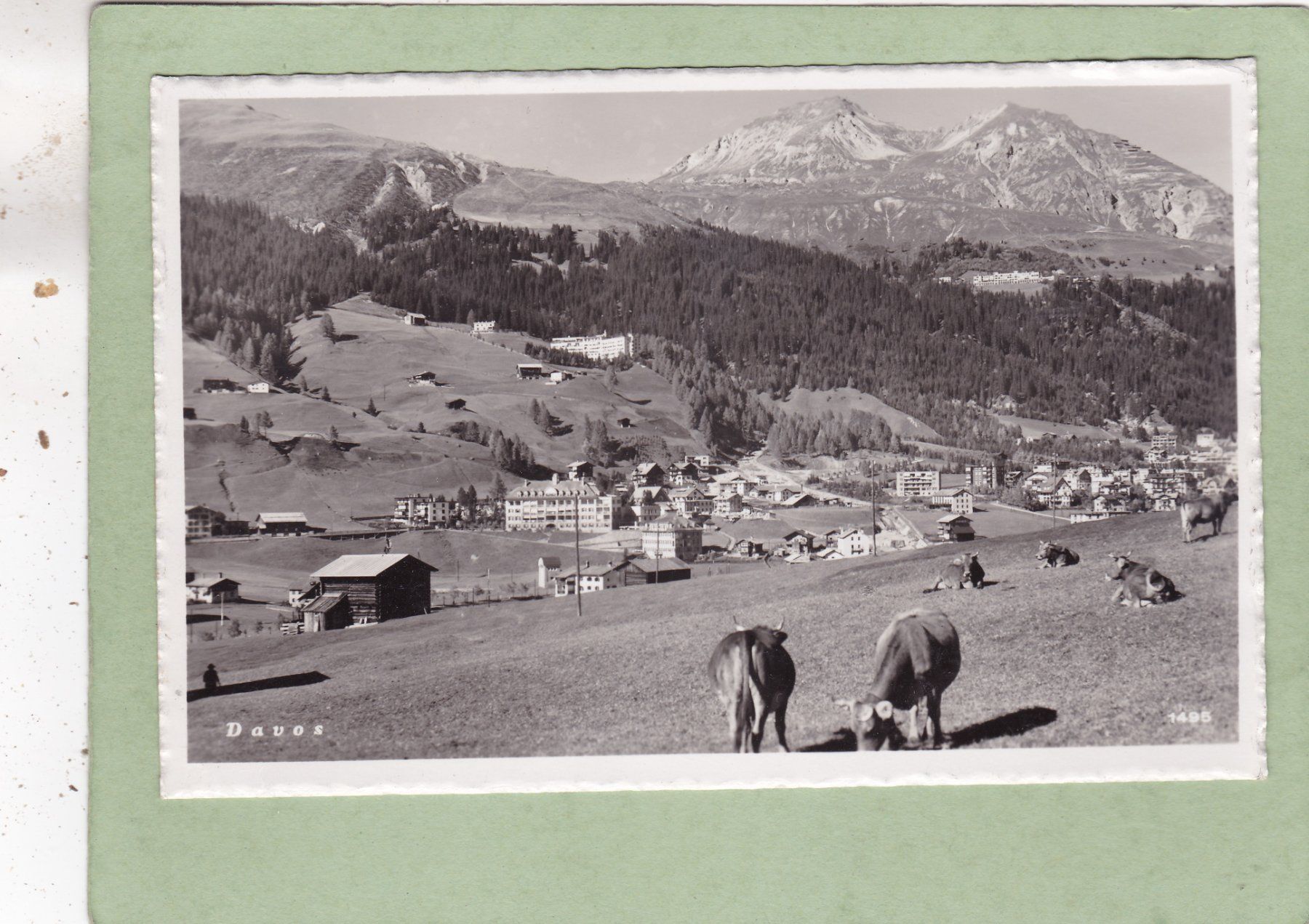 Cartoline postali: Davos Kühe 1949 – Usato da Herisau venduto da Lisegrat2008