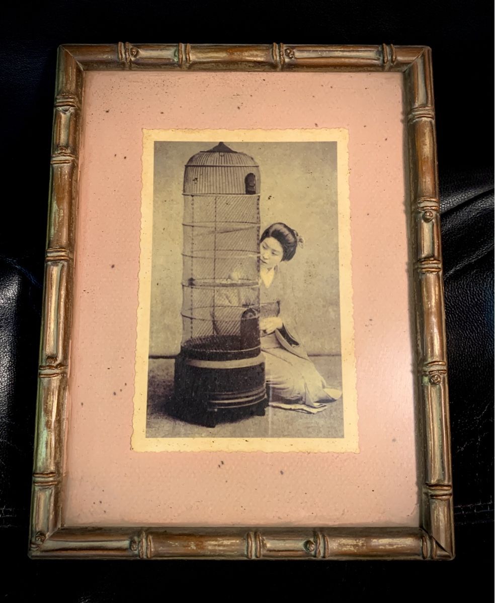 Foto & Immagini: Bamboo style frame- Geisha with birdcage – Usato da Steinmaur venduto da Flashy01