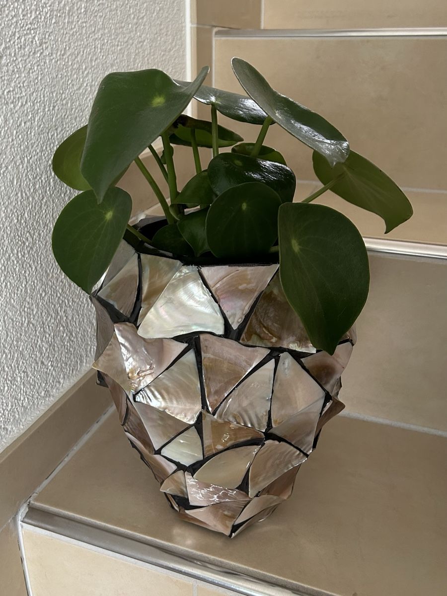 Vasi per fiori: 2 x fleur ami MUSCHEL Orchideentöpfe Perlmutt H25 – Usato da Wettingen venduto da Mmccl 9