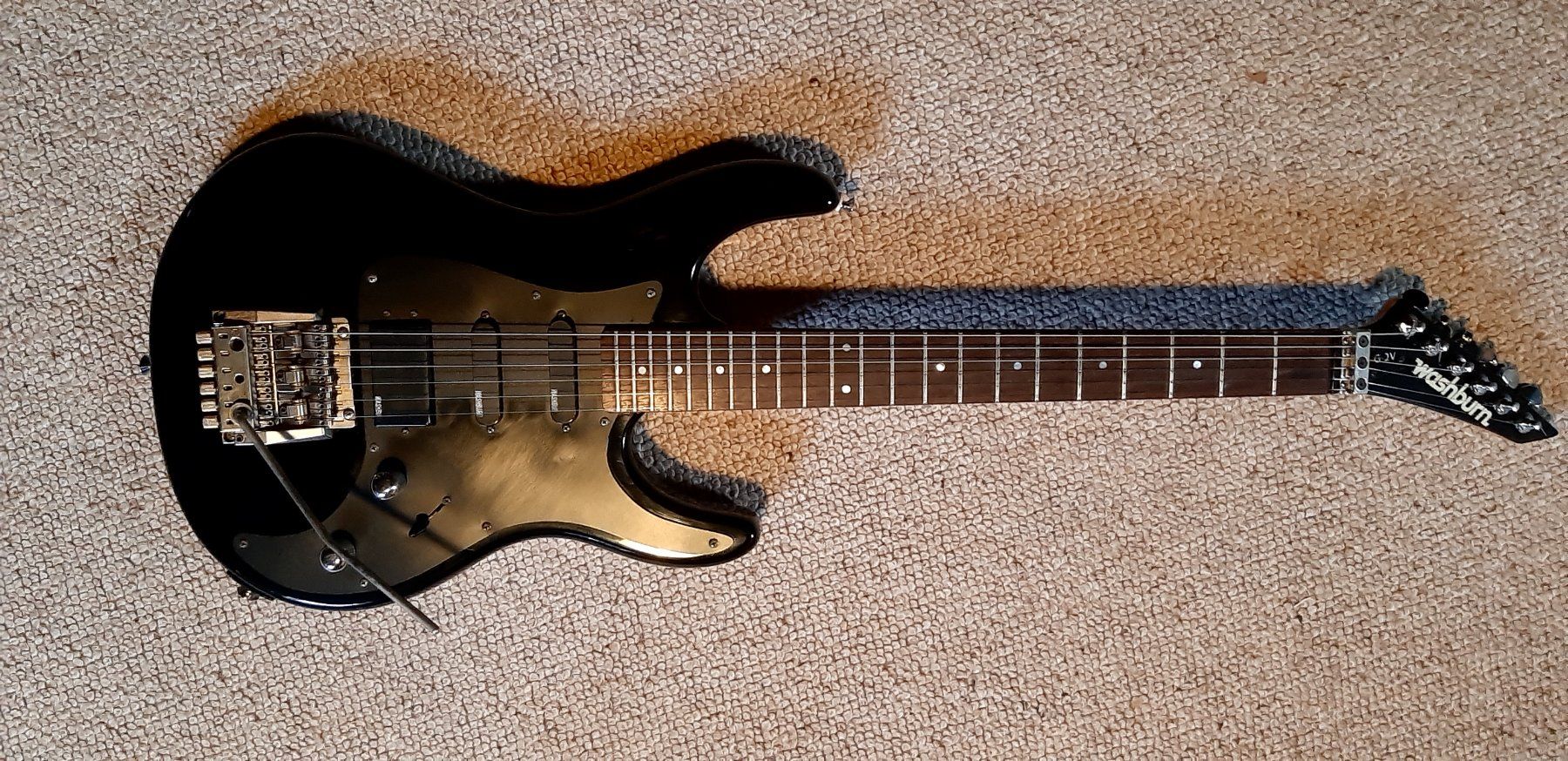 Washburn Strumenti musicali: Washburn 2GV – Usato da Solothurn venduto da Exon