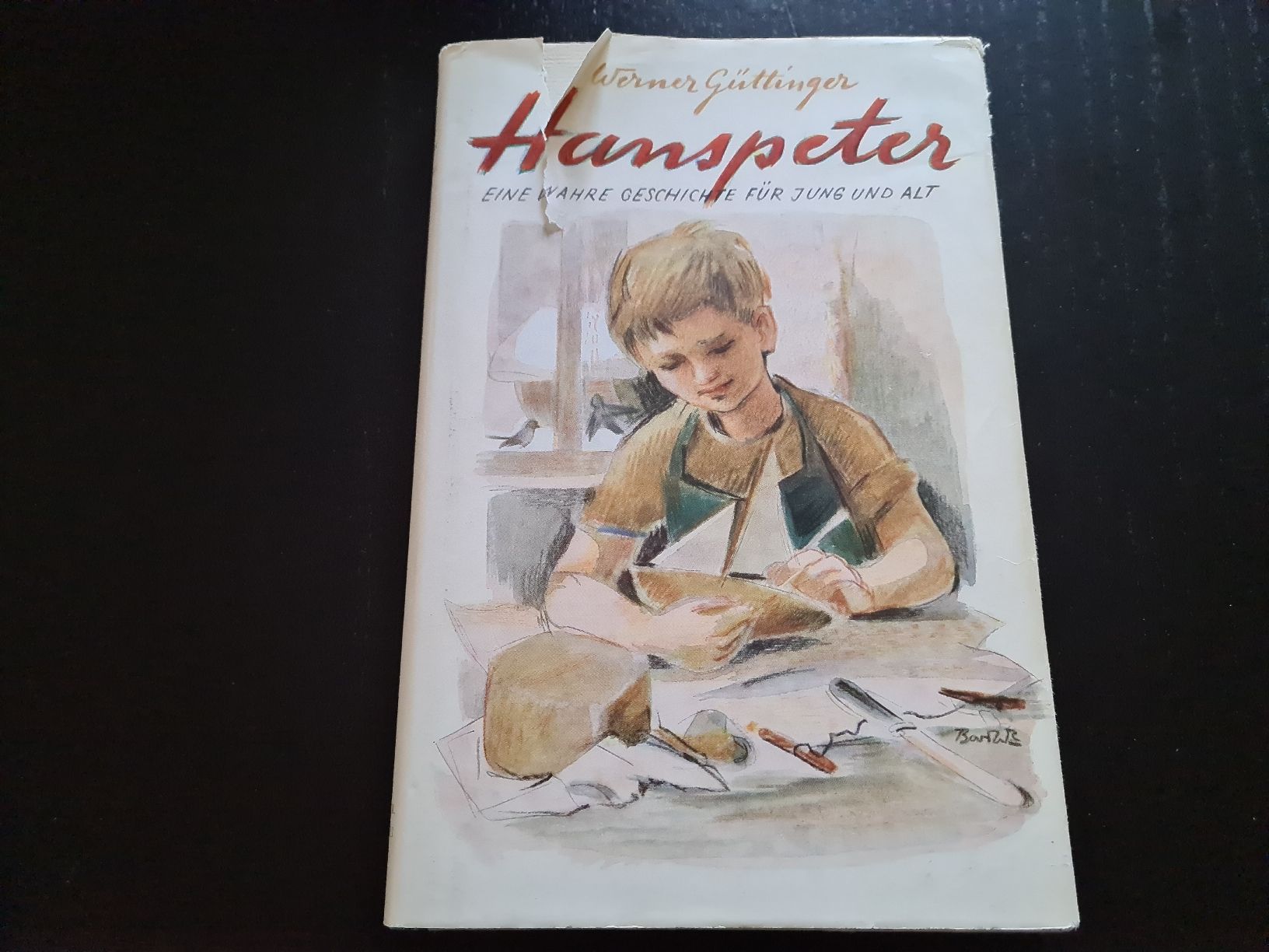 Libri: Hanspeter – Usato da Erstfeld venduto da Mario_boe0