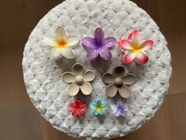 Pinces à cheveux motif fleur Hawaii lot de 7 pièces multicol