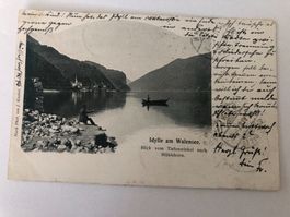 Alte Ansichtskarte Idylle am Walensee mit Mühlehorn  Knobel