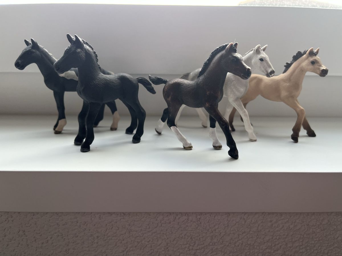 Schleich Giocattoli: Schleich Pferdefohlen 5 Set – Usato da Pfäffikon ZH venduto da mal_xs7b