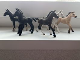 Schleich Pferdefohlen 5 Set