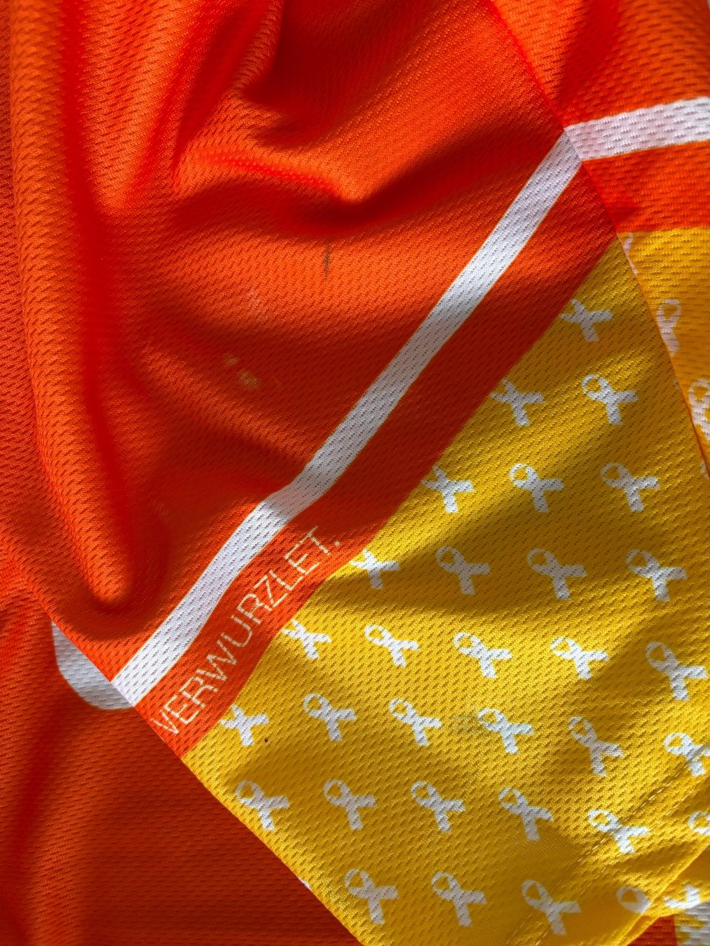 Gameworn Leibchen & Hosen: Trikot Game-Worn SC Langenthal / Special Edition / 20/21 – Gebraucht aus Halten von fitzgerald1982 3