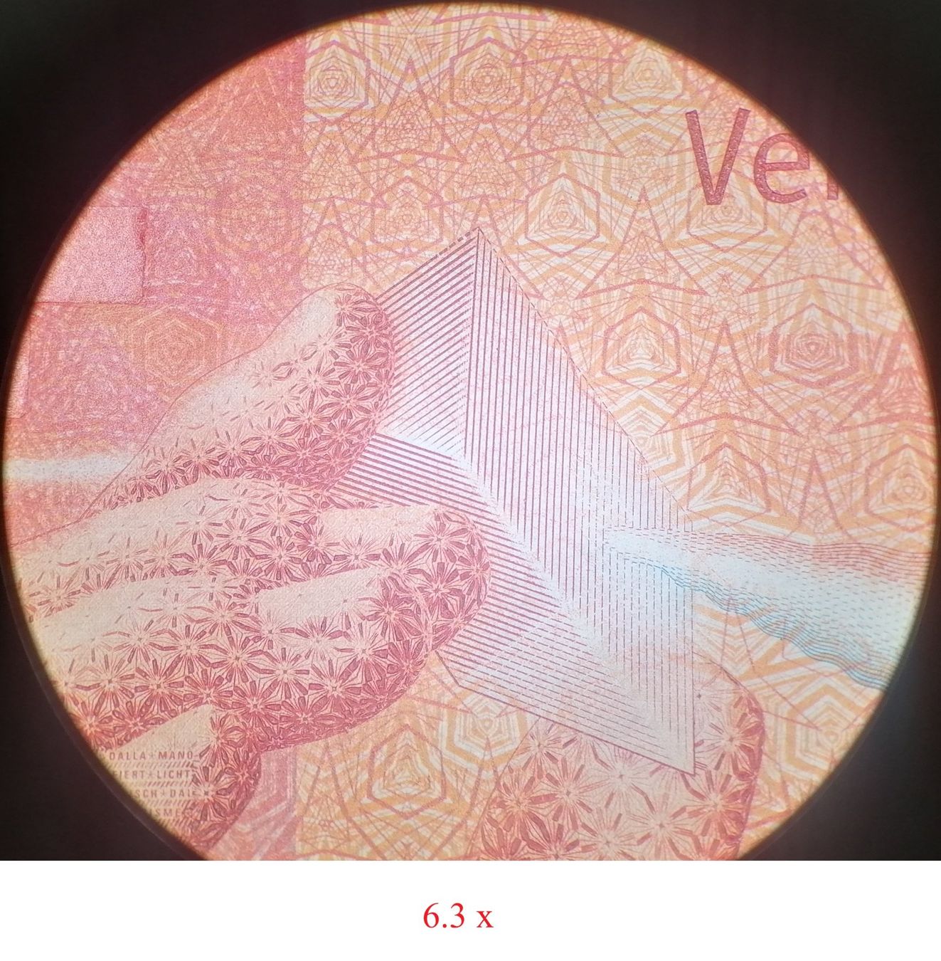 Leica Microscopi: Stereo-Mikroskop LEICA MS5 mit Ringlicht – Usato da Kerns venduto da Tuctuc2 4
