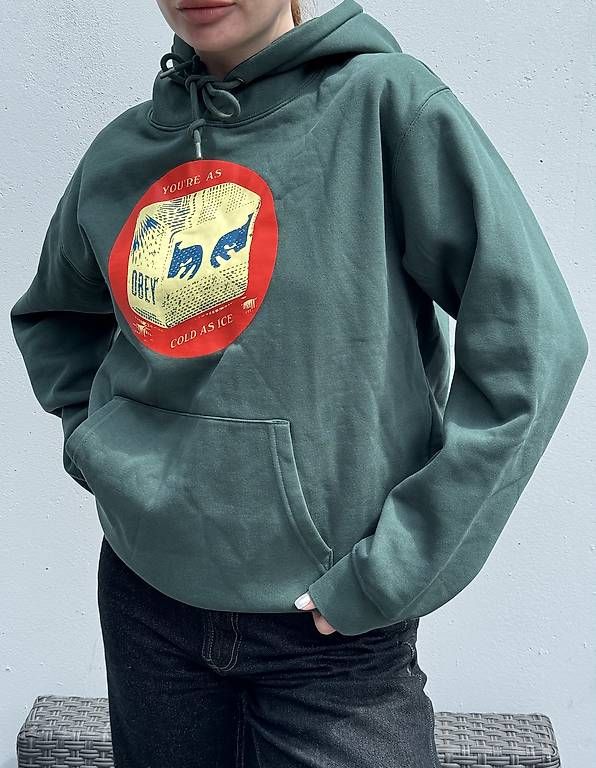 Obey Maglioni & Felpe: Obey Kapuzenpullover hoodie Kängurutasche – Usato da Meggen venduto da gia_wz2q 2