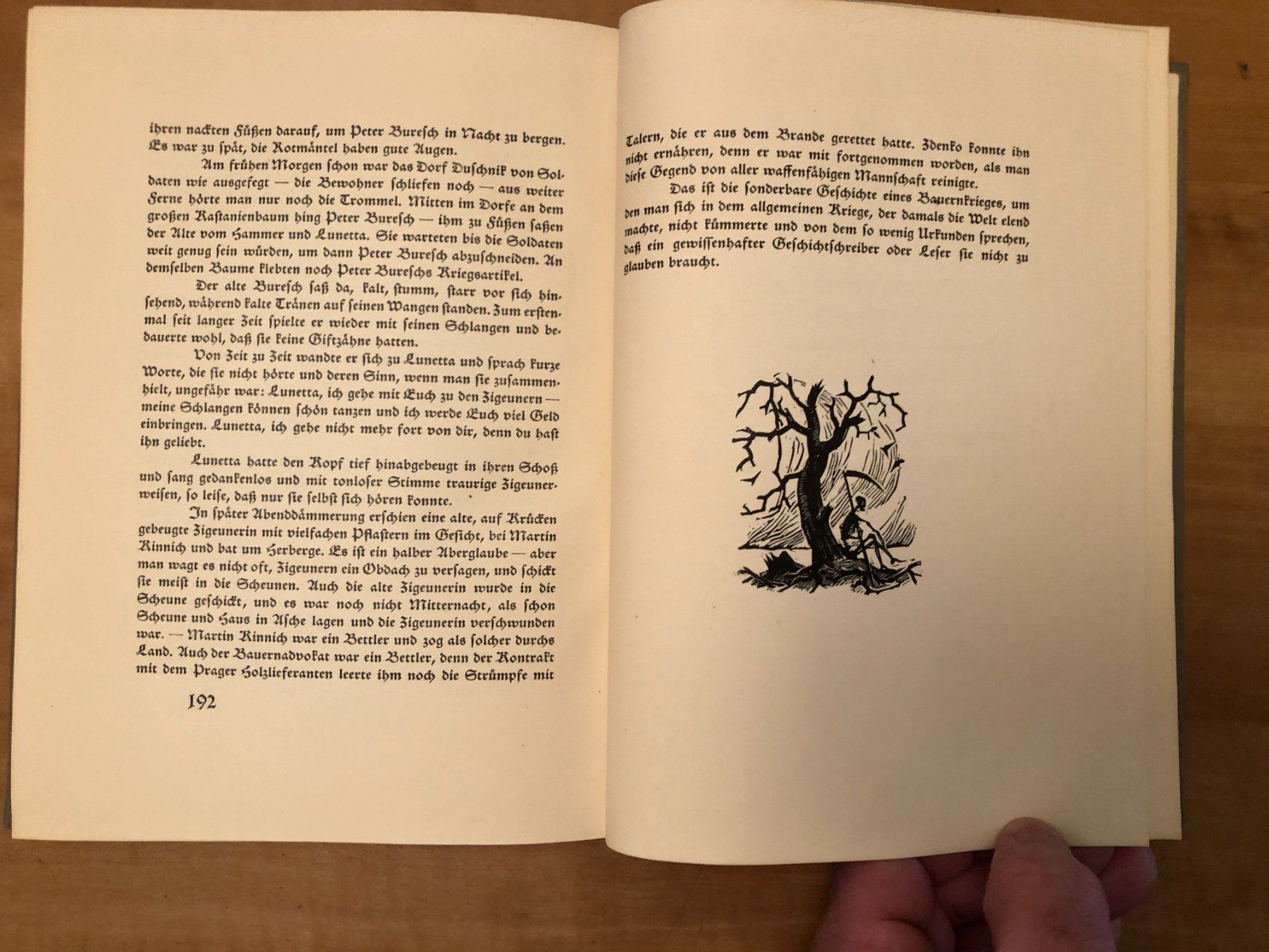 Libri: Moritz Hartmann: Der Krieg um den Wald – Usato da Zürich venduto da allp 7