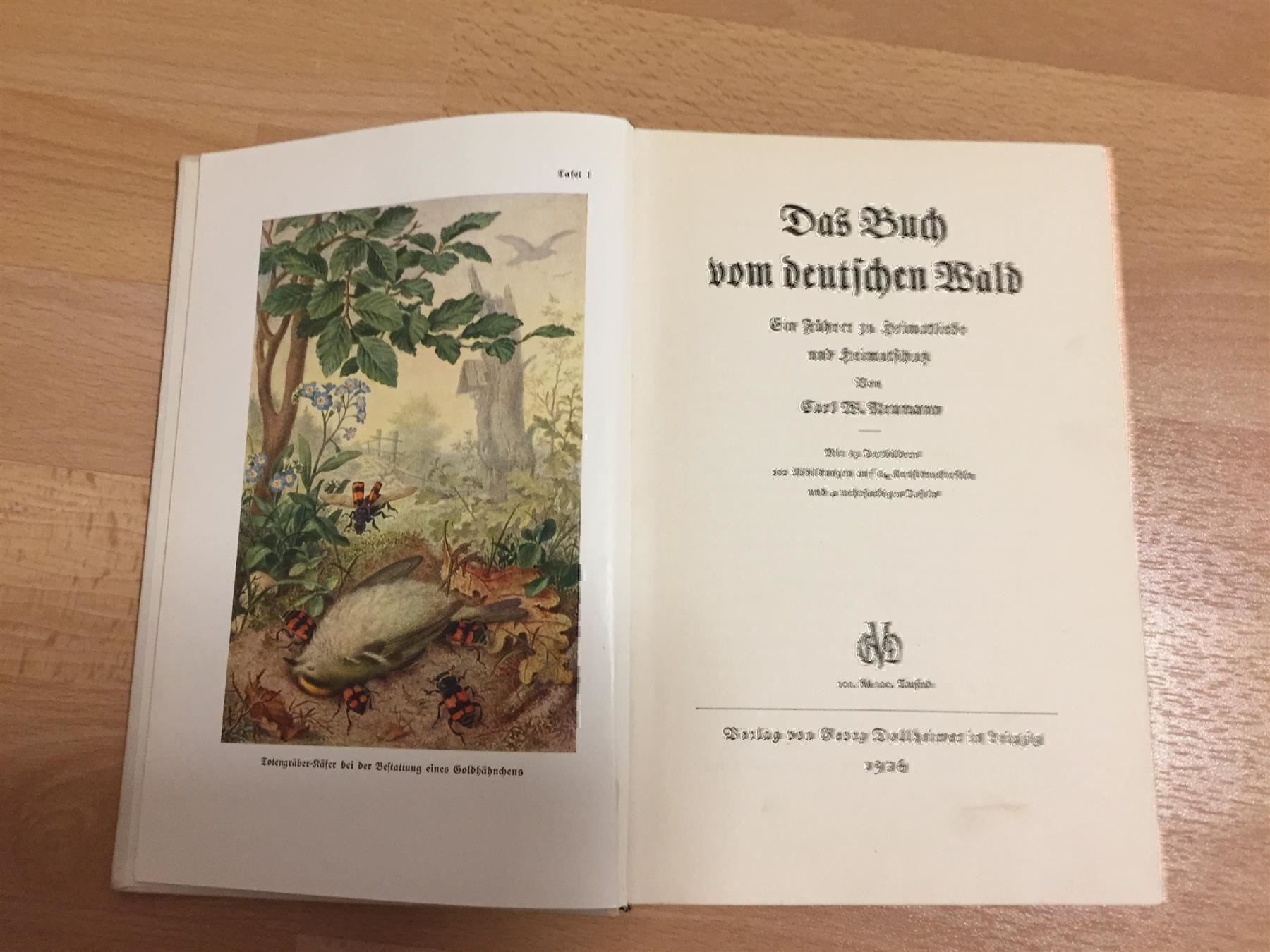 Libri: Das Buch vom deutschen Wald. 1936 – Usato da Cormagens venduto da Bonsai111 3