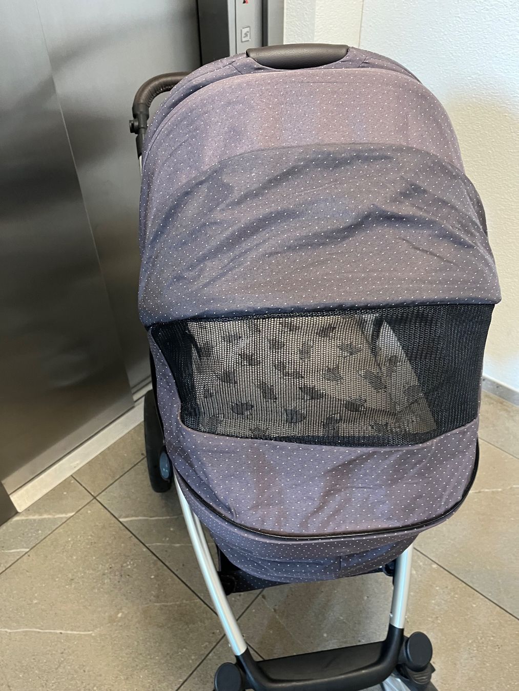 Carrozzine: Kinderwagen ABC design Salsa 4 Fox – Usato da Winterthur venduto da WintiSommer 1