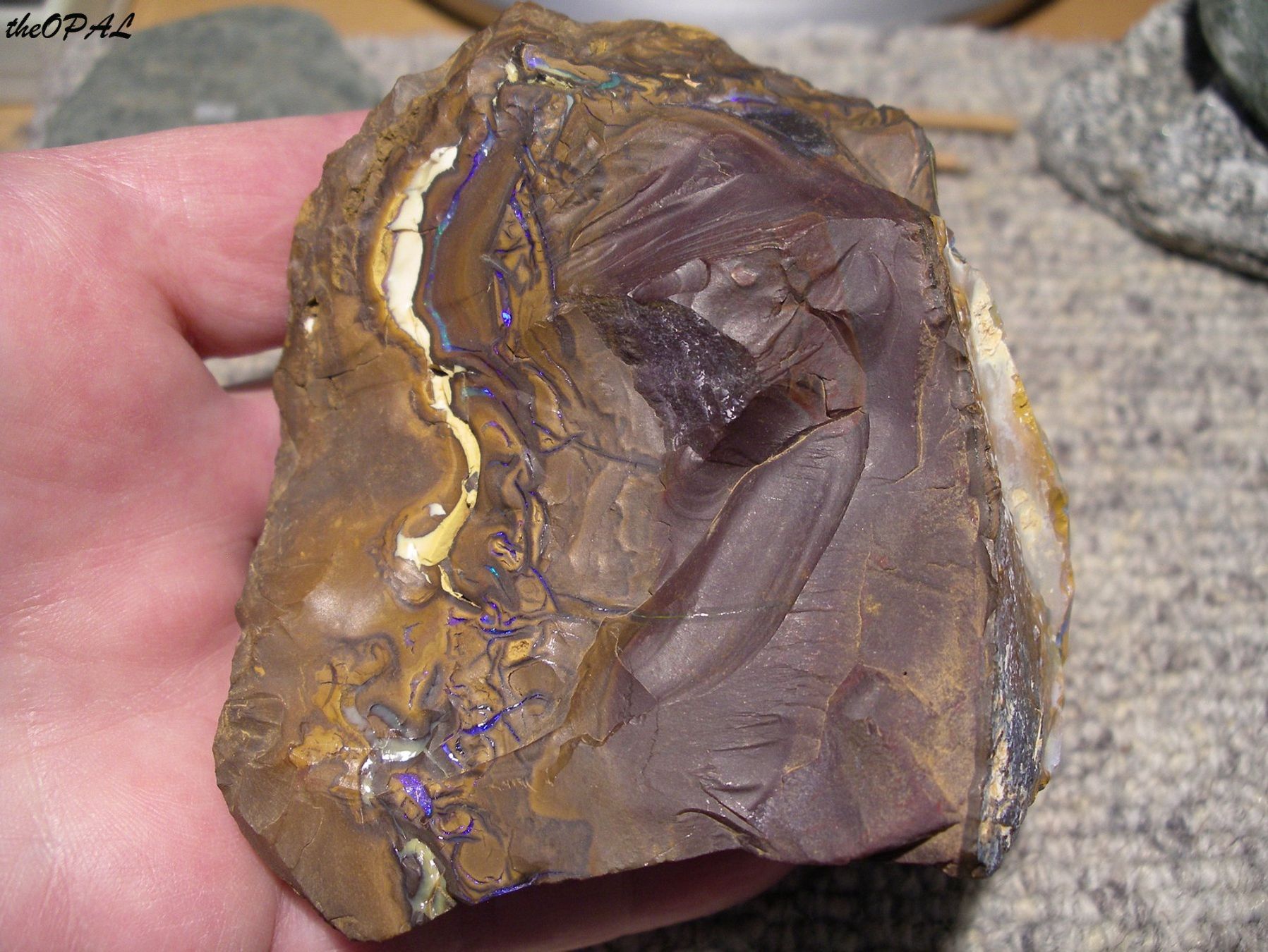 Minéraux & Lithothérapie: theOPAL*** GROSSER ROHER BOULDER MATRIX NUSS OPAL 2540ct *** – Neuf avec emballage d'origine à Ebnat-Kappel par theOPAL 1