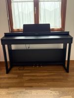 Roland E Piano