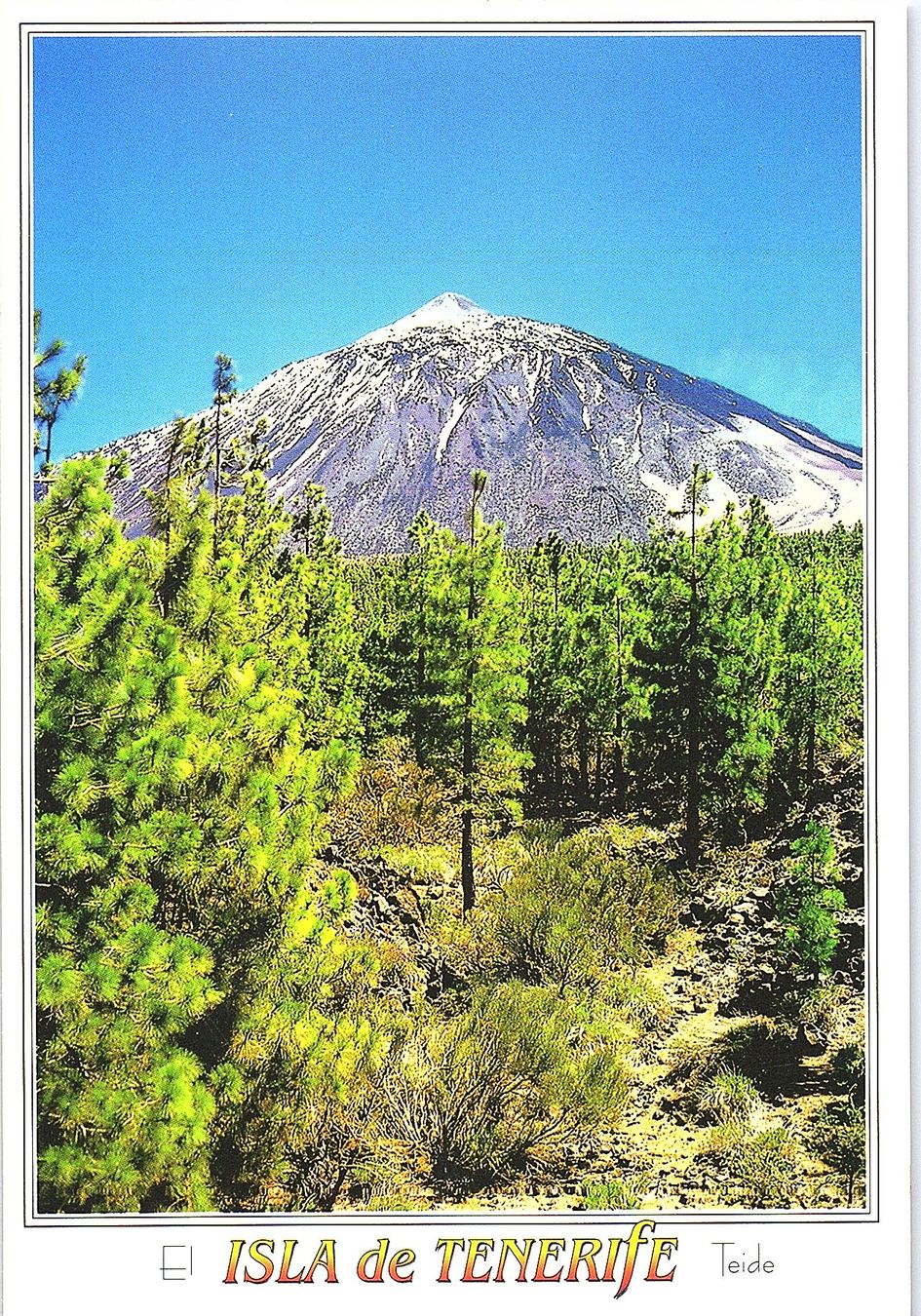 Ansichtskarten: AK Isla de Tenerife 7 Ansichtskarten neu – Neu (gemäss Beschreibung) aus Würenlos von KKMeister 6