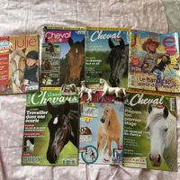 Lot de magazines pour chevaux avec Schleich
