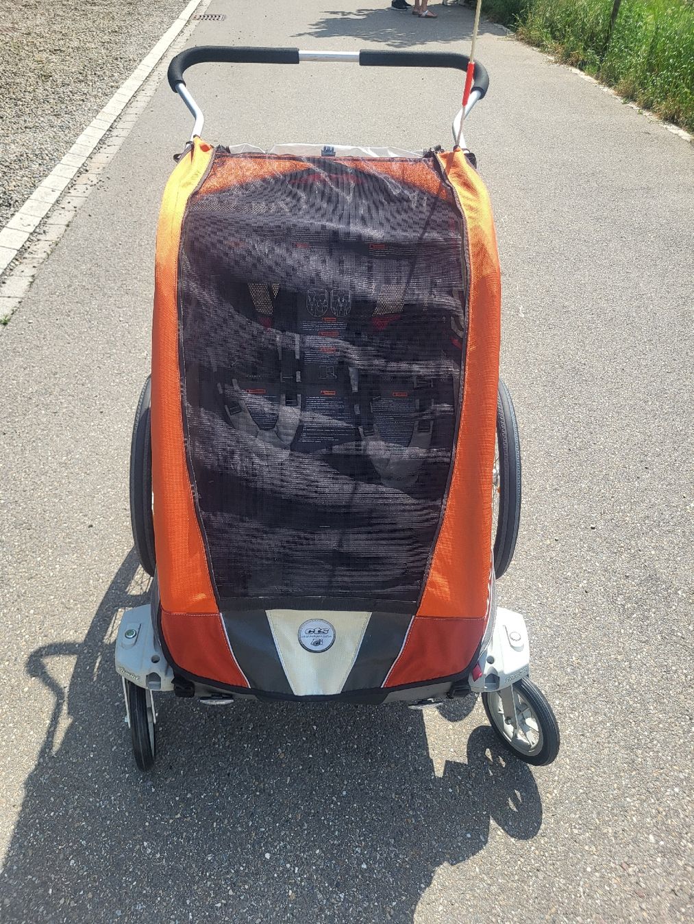 Thule Rimorchi: Thule Chariot Cougar 2 Veloanhänger – Usato da Gutenswil venduto da yve16 5