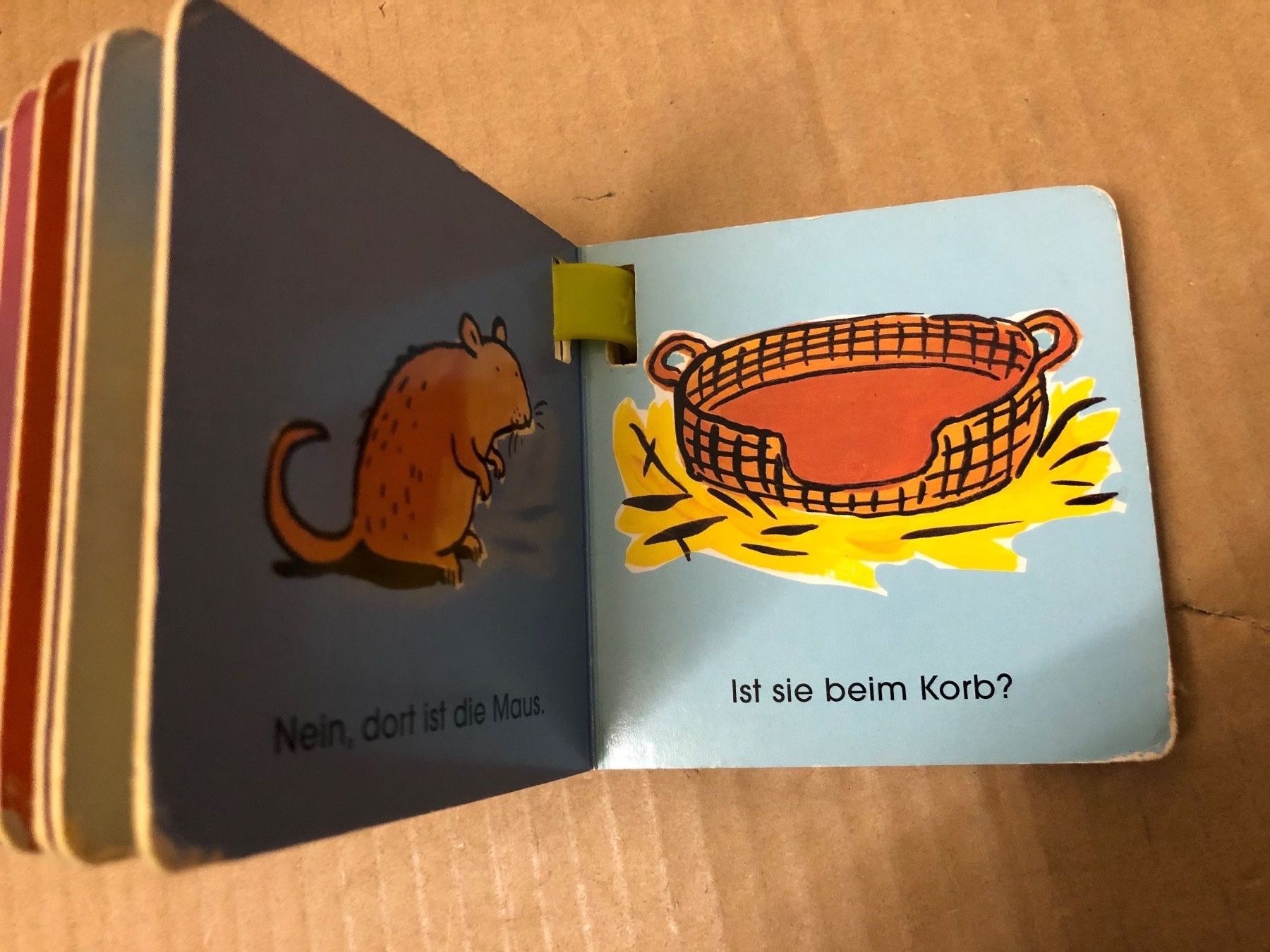 Libri: Mein Buggy Buch (Schäfchen) – Usato da Eschlikon TG venduto da RamonaSt 4
