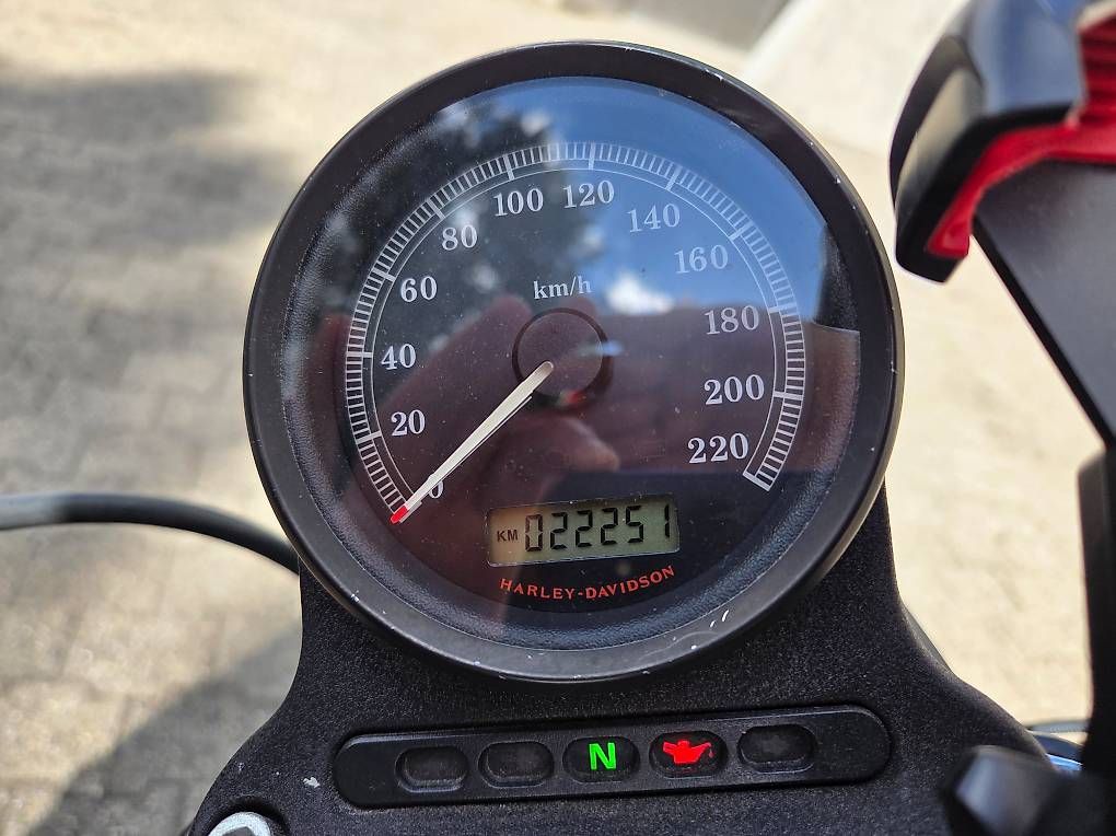Cruisers: Harley-Davidson XL 883 – D'occasion à La Croix-de-Rozon par SDI_83 2