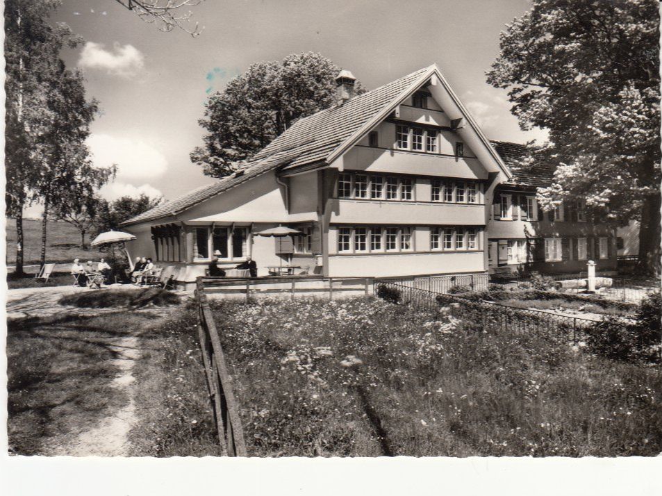 Cartoline postali: Heiden Benzenrüti 1965 – Usato da Bürglen TG venduto da StampGraf