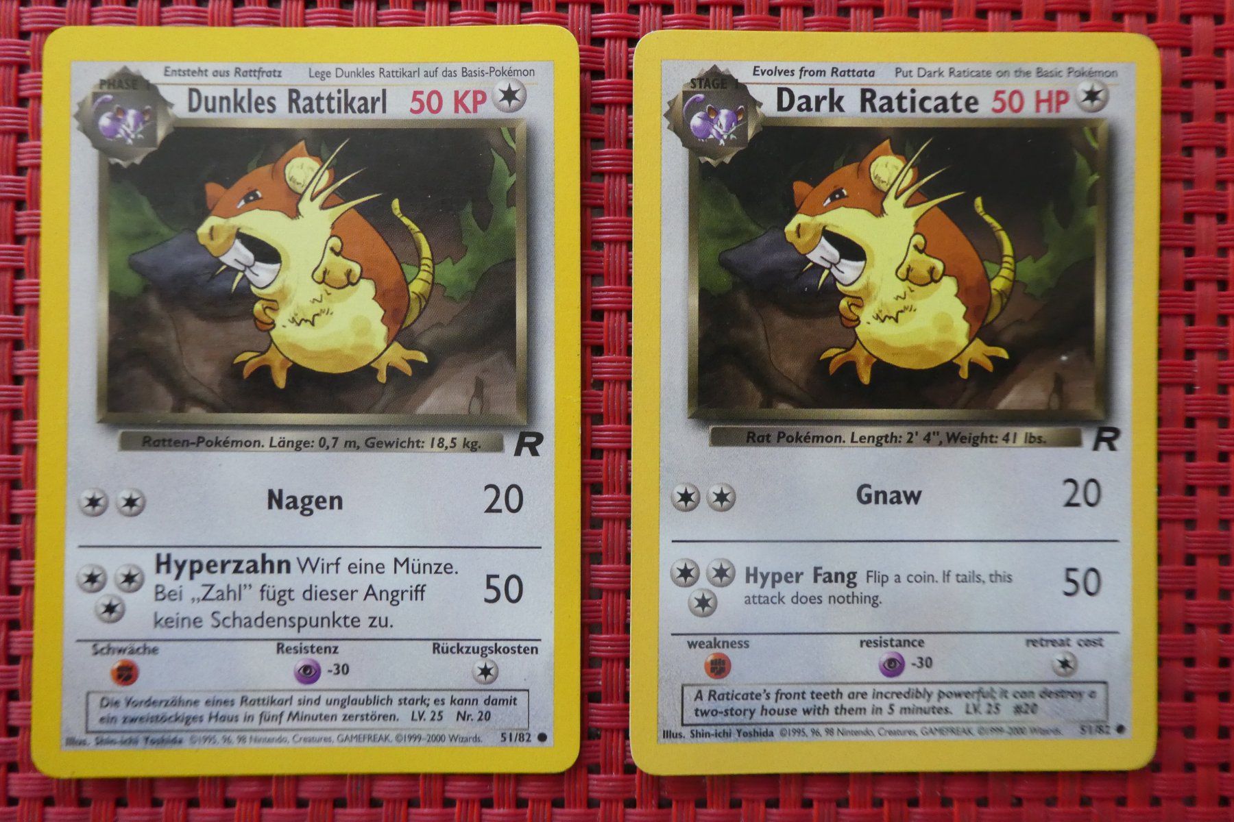 Pokémon Carte collezionabili: Pokémon / DUNKLES RATTIKARL / DARK RATICATE / D + E – Usato da Au ZH venduto da Osterhase4