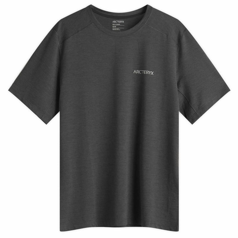 Arcteryx T-Shirts: Arcteryx Cormac Logo in M – Gebraucht aus Rickenbach LU von Totoro14 1