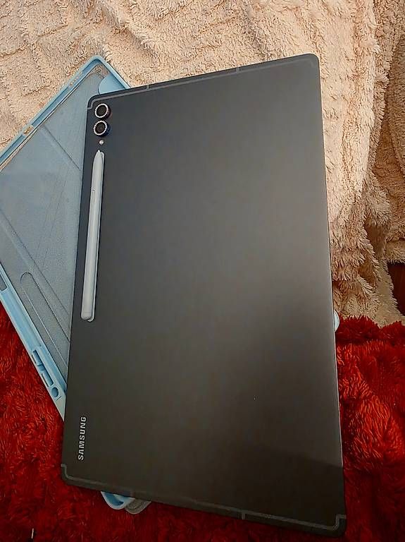 Tablet PC: Galaxy Tab s10 Ultra 5G,  512GB – Usato da Domat/Ems venduto da RASTY 1