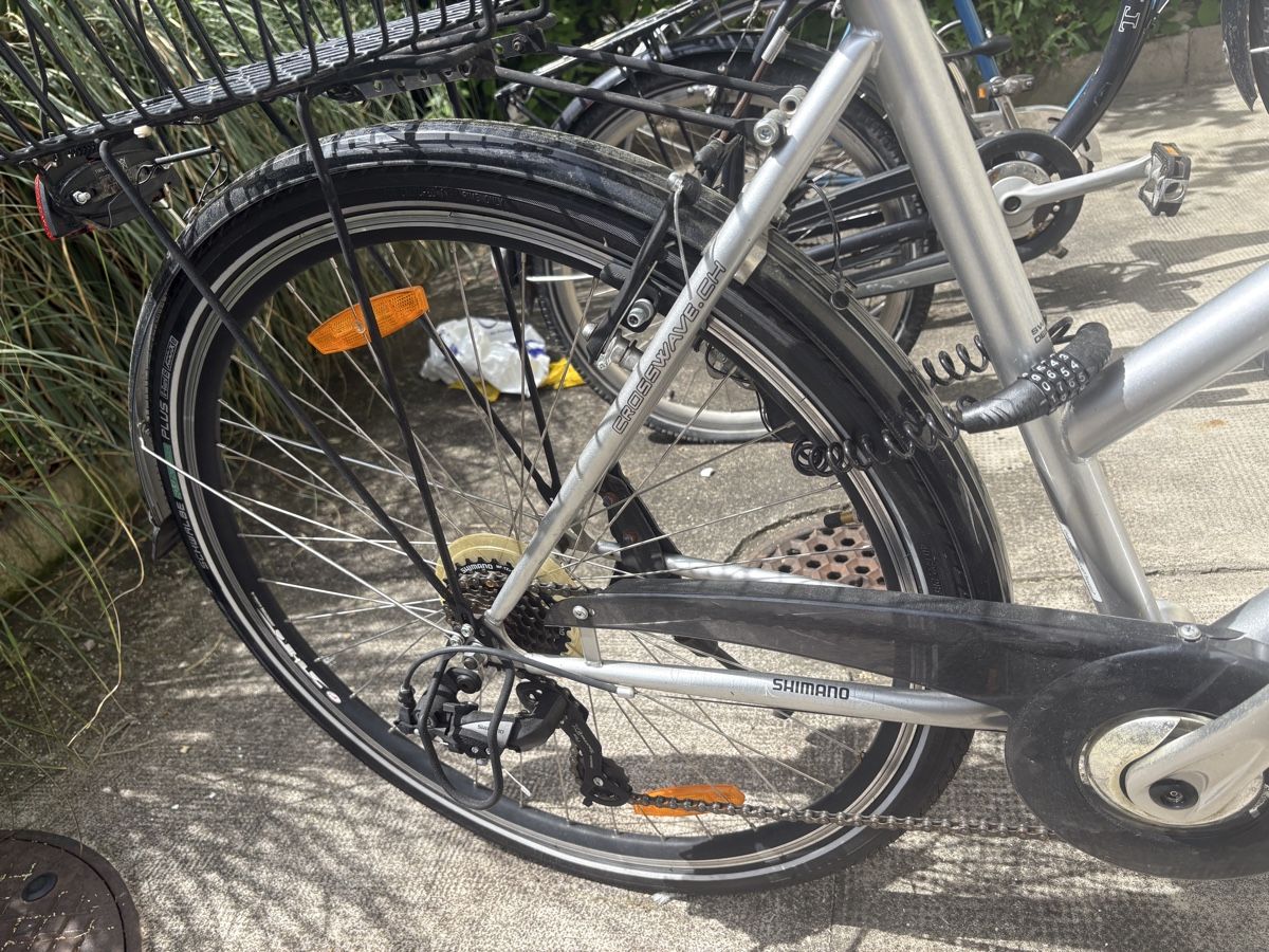 Crosswave Biciclette: Citybike – Usato da Basel venduto da sandra____ 2