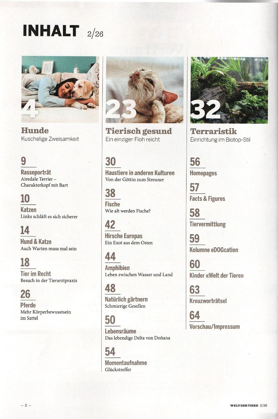 Riviste & Magazine: Zeitschrift "Welt der Tiere", Ausgabe 2/26 – Nuovo (secondo la descrizione) da Kriens venduto da Kraeutergarten 1