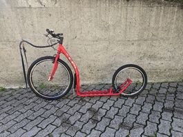 KOSTKA Dogscooter / Tretroller