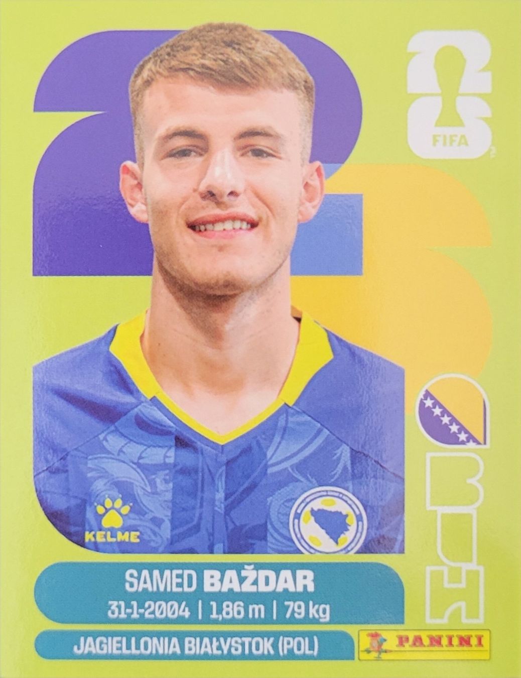 Panini Sammelbilder & Trading cards: Panini FIFA World Cup BIH 19 – Neu (gemäss Beschreibung) aus Wallisellen von never_give_up