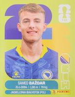 Panini FIFA World Cup BIH 19