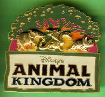 DISNEY  ANIMAL  KINGDOM