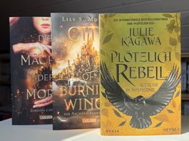 Fantasy Bücher Set