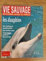 Vie sauvage - les dauphins