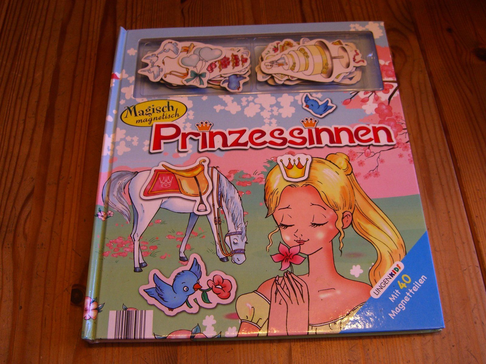 Bücher: Magisch magnetisch "Prinzessinnen" mit 40 Magnetteilen – Gebraucht aus Winterthur von Gaia