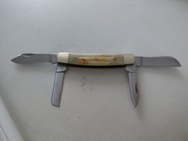 Frost Cutlery Taschenmesser mit Knochengriffimitat Top Zusta