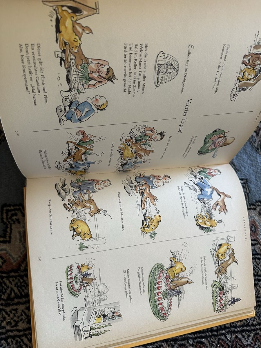 Libri: Das grosse Wilhelm Busch Album – Usato da Uster venduto da bek_v2ct 7