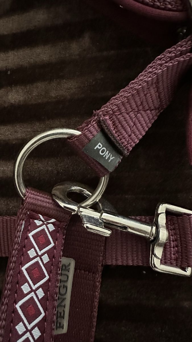 Felix Bühler Briglie & Cavezze: Fengur Halfter Gr. Pony – Nuovo (secondo la descrizione) da Bonstetten venduto da Schnurgerade 1